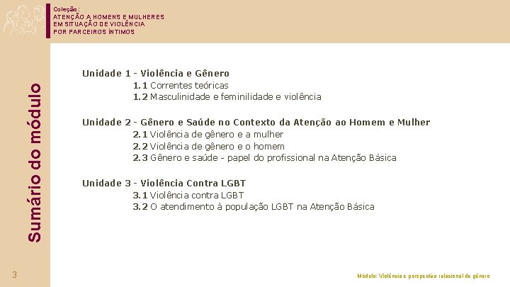 Sumário do módulo Coleção: ATENÇÃO A HOMENS E MULHERES EM SITUAÇÃO DE VIOLÊNCIA POR