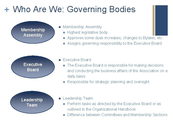 + Who Are We: Governing Bodies Membership Assembly n Highest legislative body n Approves