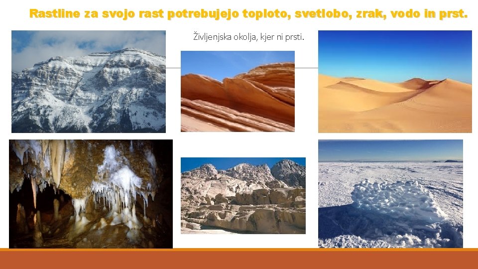 Rastline za svojo rast potrebujejo toploto, svetlobo, zrak, vodo in prst. Življenjska okolja, kjer
