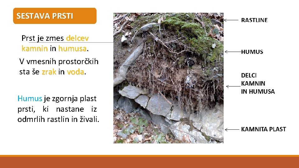 SESTAVA PRSTI Prst je zmes delcev kamnin in humusa. V vmesnih prostorčkih sta še