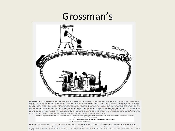 Grossman’s 