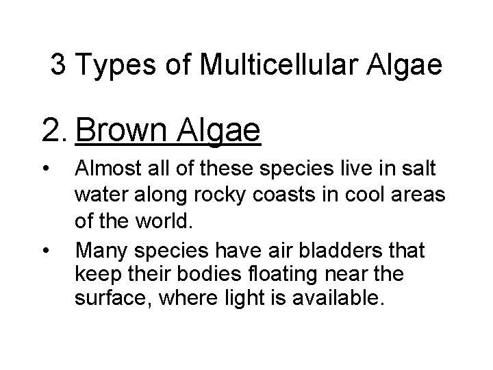 3 Types of Multicellular Algae 2. Brown Algae • • Almost all of these