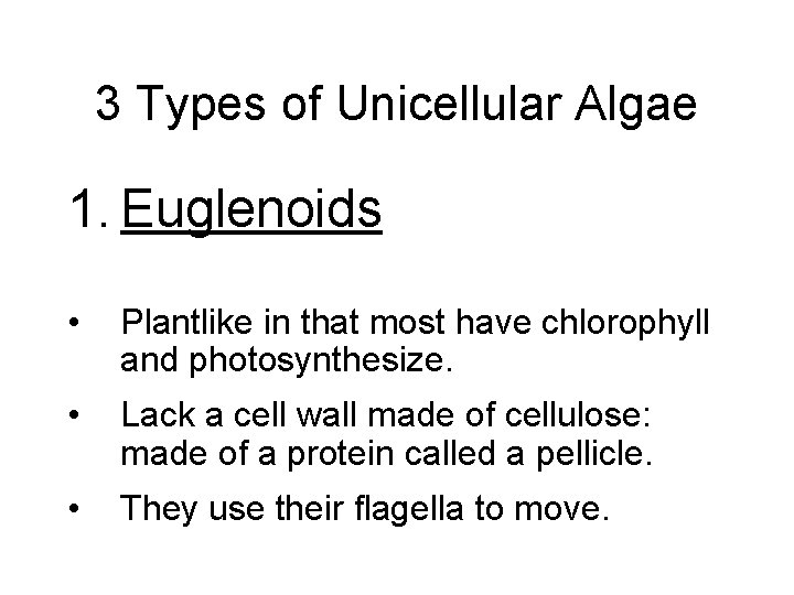 3 Types of Unicellular Algae 1. Euglenoids • Plantlike in that most have chlorophyll