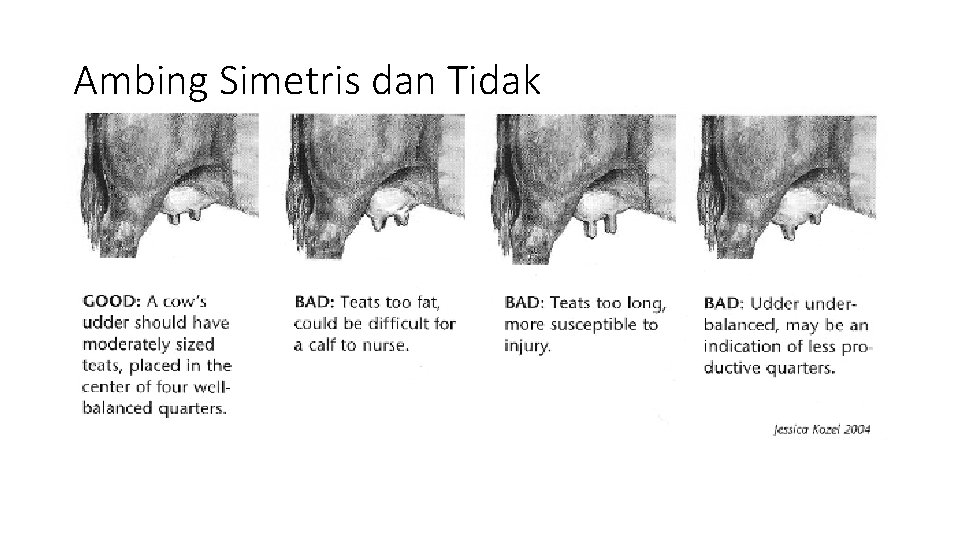 Ambing Simetris dan Tidak 