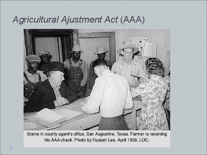 Agricultural Ajustment Act (AAA) 