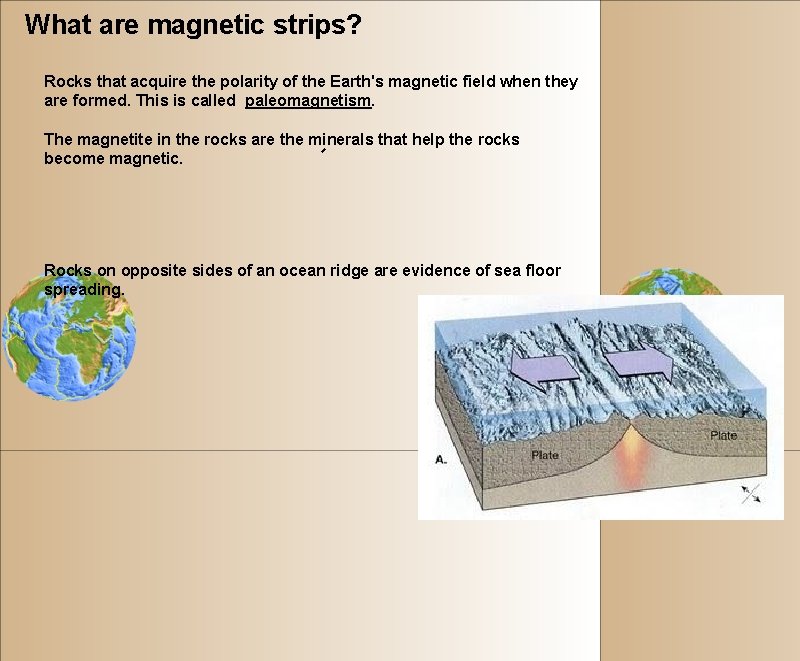What are magnetic strips? Rocks that acquire the polarity of the Earth's magnetic field