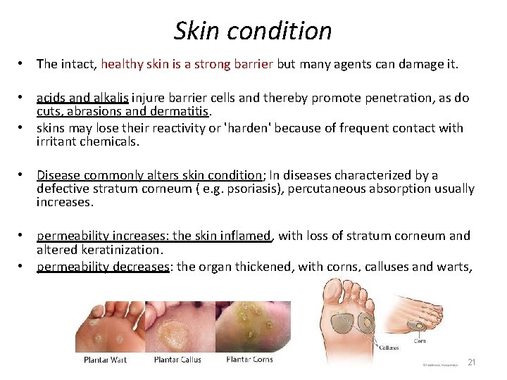 Skin condition • The intact, healthy skin is a strong barrier but many agents
