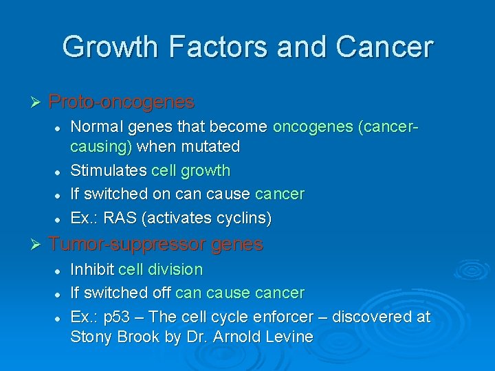 Growth Factors and Cancer Ø Proto-oncogenes l l Ø Normal genes that become oncogenes