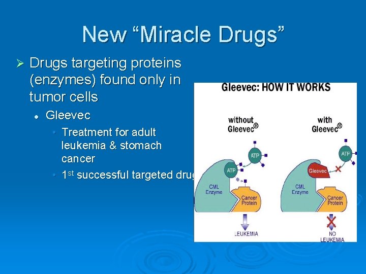 New “Miracle Drugs” Ø Drugs targeting proteins (enzymes) found only in tumor cells l