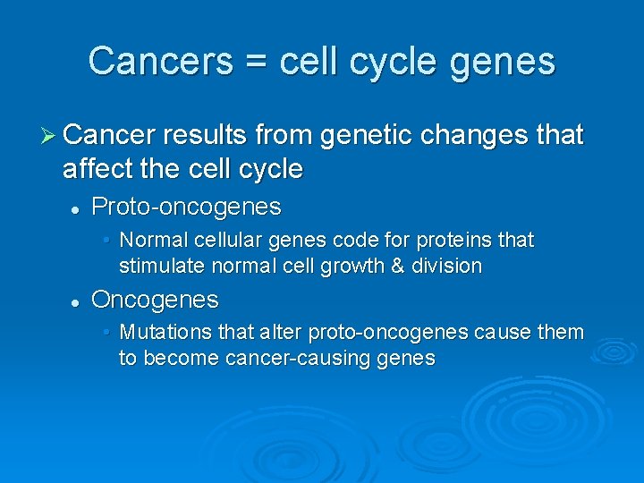 Cancers = cell cycle genes Ø Cancer results from genetic changes that affect the