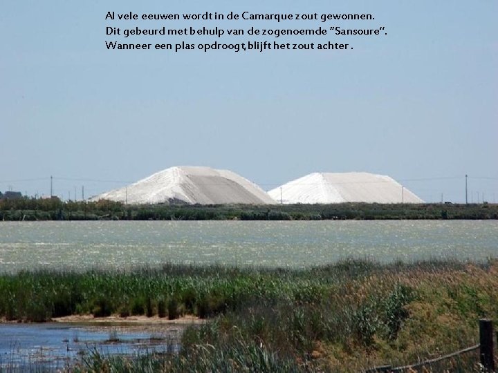 Al vele eeuwen wordt in de Camarque zout gewonnen. Dit gebeurd met behulp van