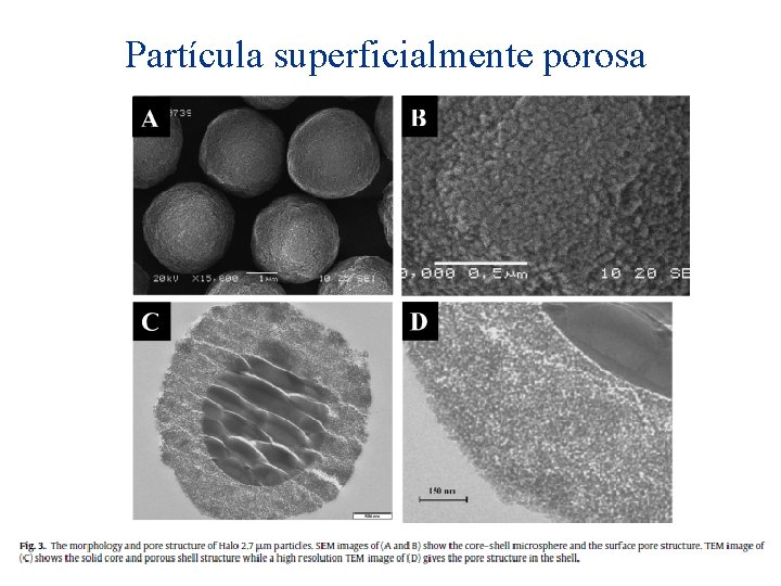 Partícula superficialmente porosa 