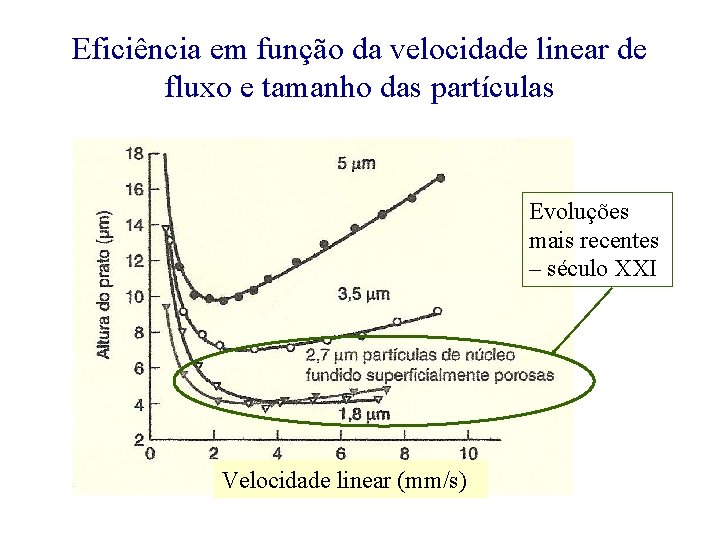 Eficiência em função da velocidade linear de fluxo e tamanho das partículas Evoluções mais