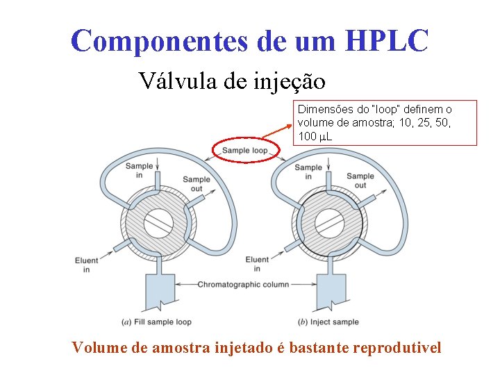 Componentes de um HPLC Válvula de injeção Dimensões do “loop” definem o volume de