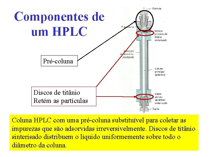 Componentes de um HPLC Pré-coluna Discos de titânio Retém as partículas Coluna HPLC com