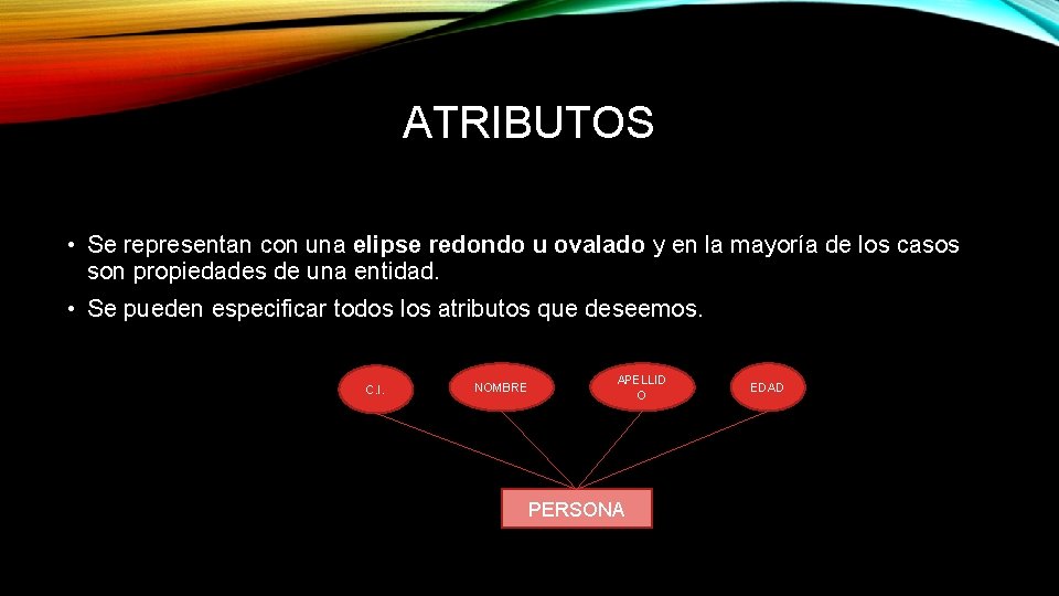 ATRIBUTOS • Se representan con una elipse redondo u ovalado y en la mayoría