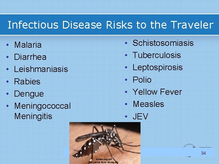 Infectious Disease Risks to the Traveler • • • • Malaria Diarrhea Leishmaniasis Rabies