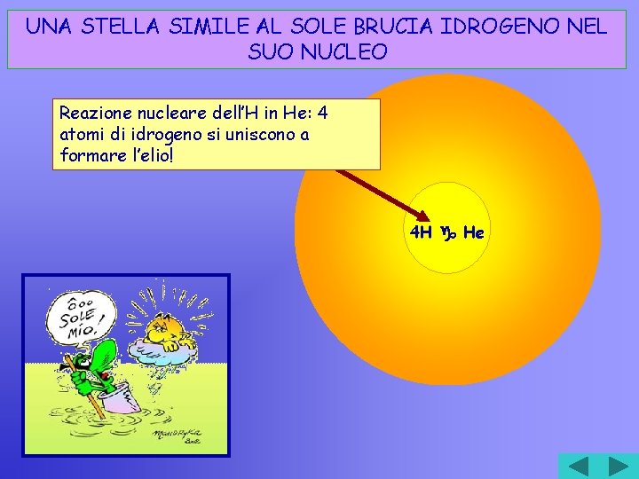 UNA STELLA SIMILE AL SOLE BRUCIA IDROGENO NEL SUO NUCLEO Reazione nucleare dell’H in