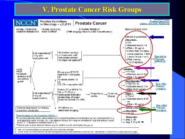 V. Prostate Cancer Risk Groups 