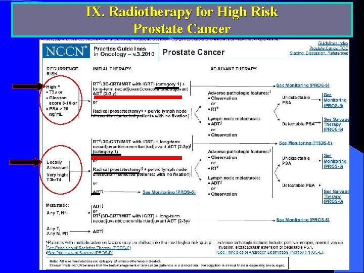 IX. Radiotherapy for High Risk Prostate Cancer 