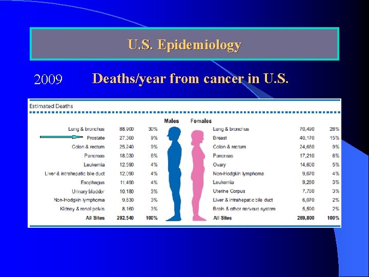U. S. Epidemiology. 2009 Deaths/year from cancer in U. S. 