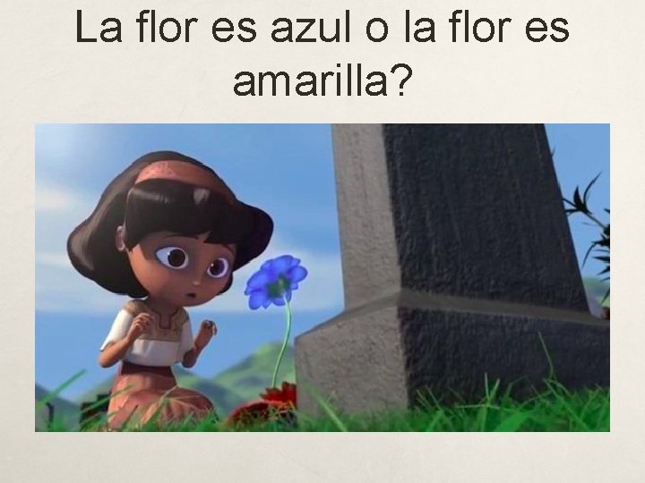 La flor es azul o la flor es amarilla? 