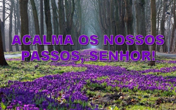 ACALMA OS NOSSOS PASSOS, SENHOR! 