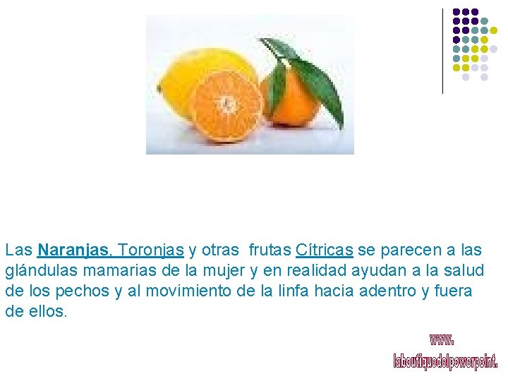 Las Naranjas, Toronjas y otras frutas Cítricas se parecen a las glándulas mamarias de