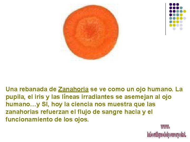 Una rebanada de Zanahoria se ve como un ojo humano. La pupila, el iris