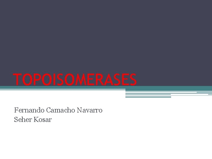 TOPOISOMERASES Fernando Camacho Navarro Seher Kosar TOPOISOMERASES Fernando Camacho Navarro Seher Kosar