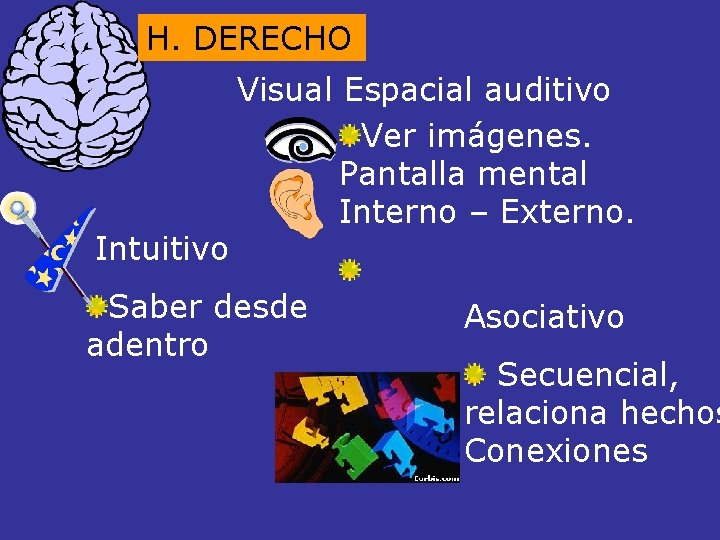 H. DERECHO Intuitivo Visual Espacial auditivo Ver imágenes. Pantalla mental Interno – Externo. Saber