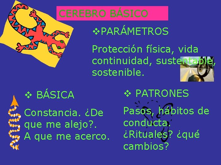 CEREBRO BÁSICO v. PARÁMETROS Protección física, vida continuidad, sustentable, sostenible. v BÁSICA v PATRONES