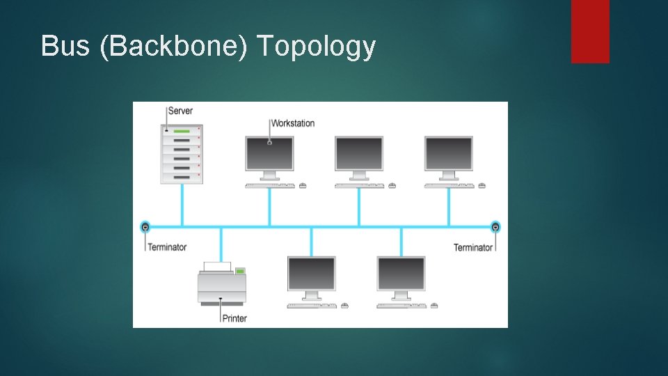 Bus (Backbone) Topology 