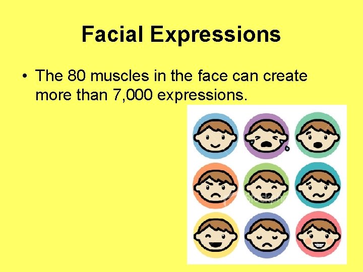 Facial Expressions • The 80 muscles in the face can create more than 7,