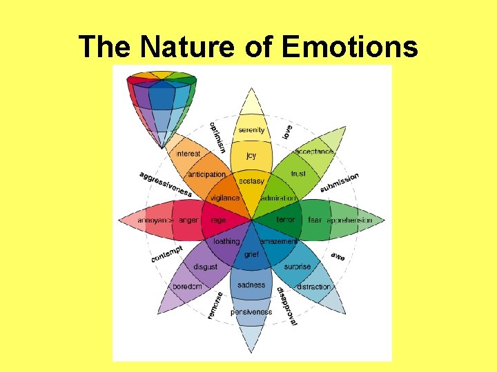 The Nature of Emotions 