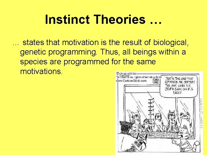 Instinct Theories … … states that motivation is the result of biological, genetic programming.