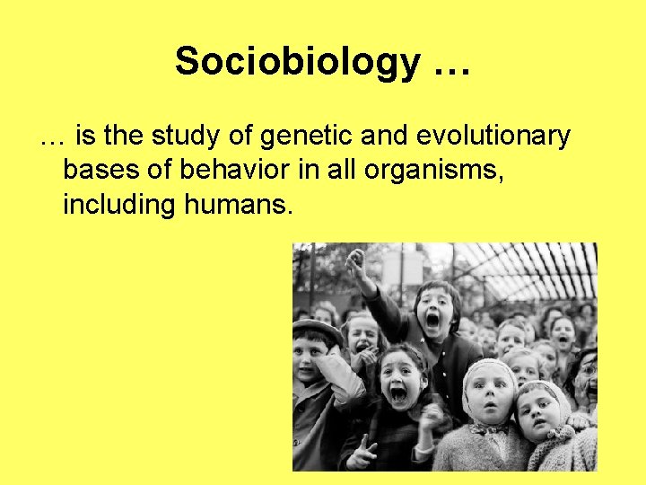 Sociobiology … … is the study of genetic and evolutionary bases of behavior in