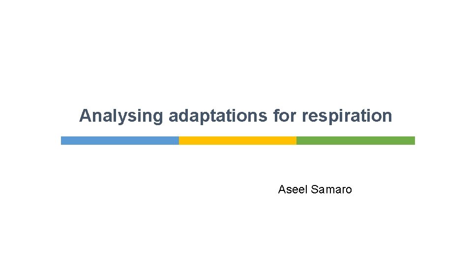Analysing adaptations for respiration Aseel Samaro 