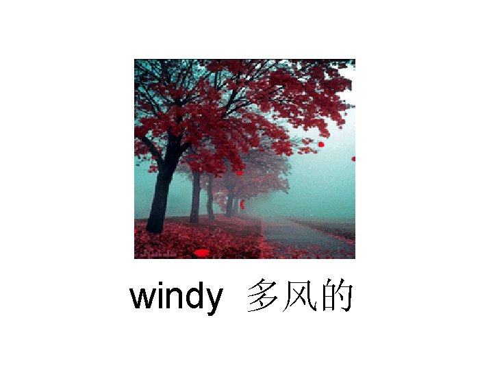 Unit 3 Weather B Lets learn Teacher Miss