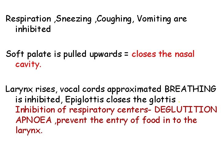 Respiration , Sneezing , Coughing, Vomiting are inhibited Soft palate is pulled upwards =