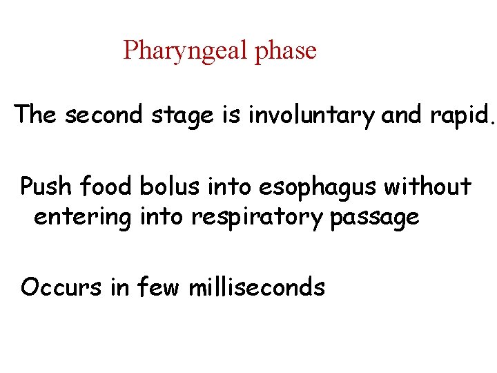 Pharyngeal phase The second stage is involuntary and rapid. Push food bolus into esophagus