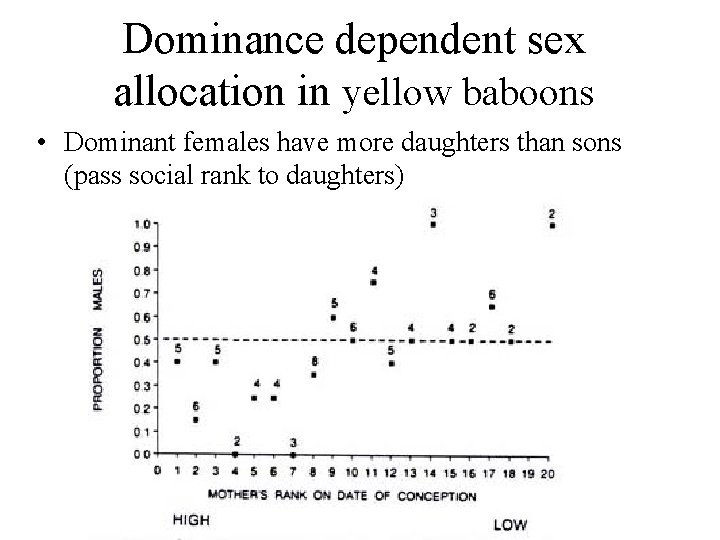 Dominance dependent sex allocation in yellow baboons • Dominant females have more daughters than