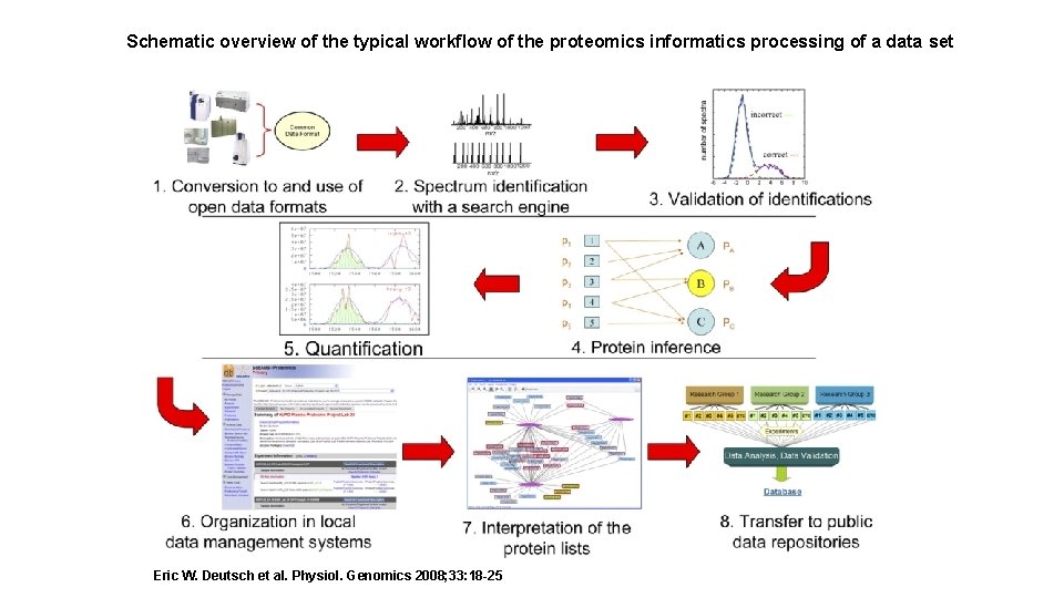 Schematic overview of the typical workflow of the proteomics informatics processing of a data