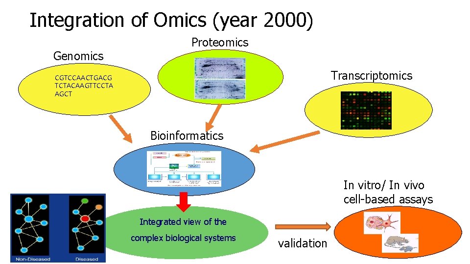 Integration of Omics (year 2000) Genomics Proteomics Transcriptomics CGTCCAACTGACG TCTACAAGTTCCTA AGCT Bioinformatics In vitro/