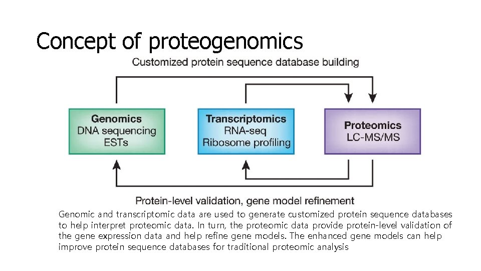 Concept of proteogenomics Genomic and transcriptomic data are used to generate customized protein sequence