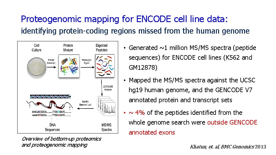 Proteogenomic mapping for ENCODE cell line data: identifying protein-coding regions missed from the human