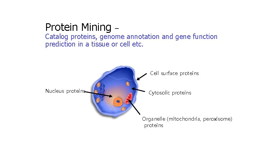 Protein Mining – Catalog proteins, genome annotation and gene function prediction in a tissue