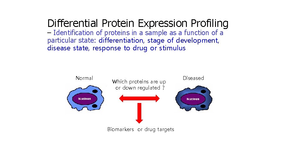 Differential Protein Expression Profiling – Identification of proteins in a sample as a function