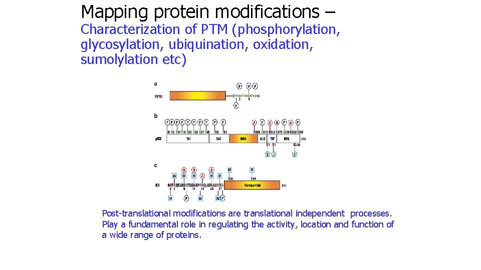 Mapping protein modifications – Characterization of PTM (phosphorylation, glycosylation, ubiquination, oxidation, sumolylation etc) Post-translational