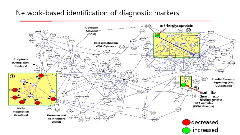 Network-based identification of diagnostic markers a-2 -hs-glycoprotein Insulin-like Growth factor binding protein decreased increased